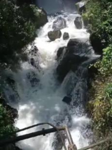 智慧问答网-怀孕后千万要少吃的哪几种水果,对胎儿发育很不好呢?专家在线解答问题
